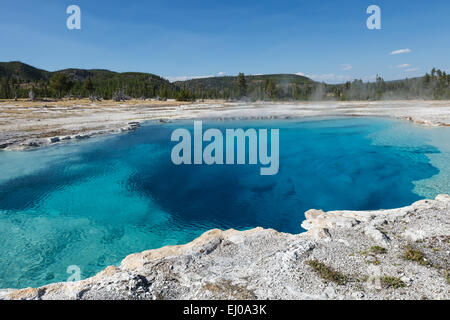 L'eau de saphir bleu magnifique piscine, bassin du biscuit, dans le coin supérieur Geyser Basin. Le Parc National de Yellowstone, Wyoming, USA. Banque D'Images