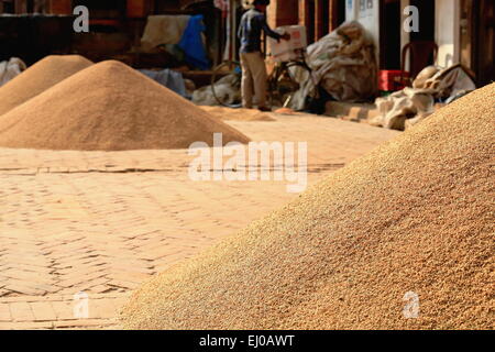 Le riz paddy sundrying mis sur la brique rouge rez-de-chaussée d'un Tribheni Ghat-Khware-petite place culte salon-Punyamati +Roshi union européenne Banque D'Images