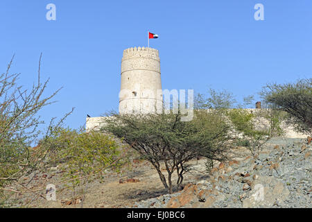 Moyen Orient, Proche Orient, Émirats arabes unis, ÉMIRATS ARABES UNIS, Sharjah, Khor Kalba, Al Ghayl fort, station ornithologique, musée, architecte Banque D'Images