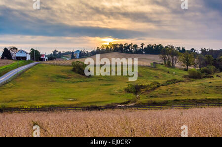 Coucher de soleil sur les champs agricoles et les collines dans le comté de Lancaster, Pennsylvanie. Banque D'Images