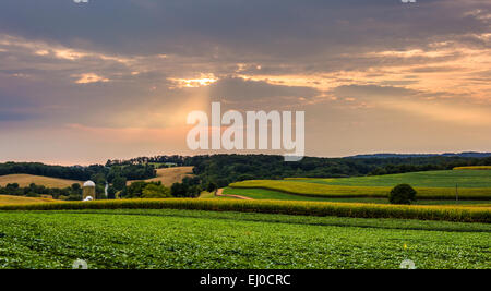 Coucher de soleil sur les champs et collines en milieu rural dans le comté de York, Pennsylvanie. Banque D'Images