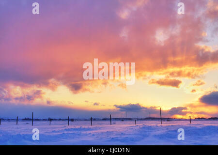 Magnifique coucher de soleil sur neige le jour d'hiver froid et venteux Banque D'Images