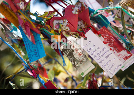 L'ARGENTINE, Buenos Aires, Retiro, jardin japonais, Jardin Japones, messages écrits sur l'arbre des désirs Banque D'Images
