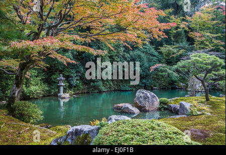 Le Japon, l'Asie, Kansai, Kyoto, Japon, Paysage, Shoren-In, Temple, architecture, colorée, automne, jardin, green, lantern, momiji Banque D'Images