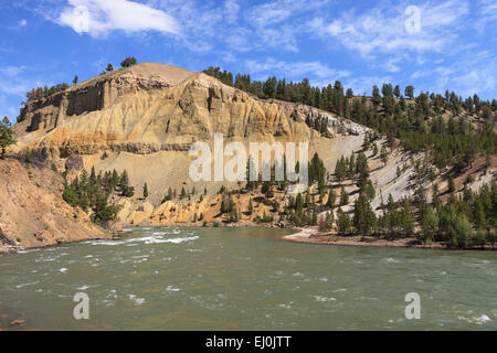 La rivière Yellowstone, le Parc National de Yellowstone, Wyoming, États-Unis d'Amérique. Banque D'Images