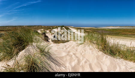 Pays-bas, la Hollande, l'Europe, De Cocksdorp, phare, Texel, Noord-Holland, paysage, champ, prairie, l'été, la plage, la mer, les dunes Banque D'Images