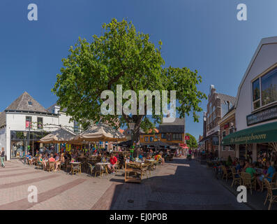 Pays-bas, la Hollande, l'Europe, Den Burg, Texel, Noord-Holland, village, arbres, été, personnes, café en plein air, square Banque D'Images