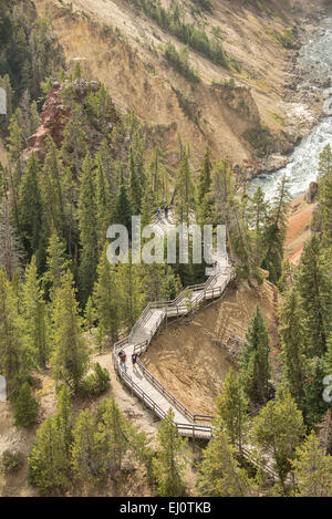 USA, United States, Amérique, Wyoming, Rocheuses, montagnes Rocheuses, Yellowstone, Parc National, l'UNESCO, Patrimoine Mondial, Boardwalk, gr Banque D'Images