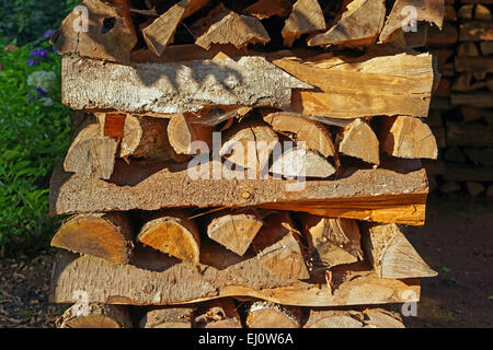 L'Europe, Allemagne, Europe, Rhénanie-Palatinat, Erlenbach bei Dahn, château, Berwartstein, détail, sur pilotis en bois, de l'humeur, still life, p Banque D'Images