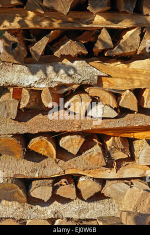 L'Europe, Allemagne, Europe, Rhénanie-Palatinat, Erlenbach bei Dahn, château, Berwartstein, détail, sur pilotis en bois, de l'humeur, still life, p Banque D'Images