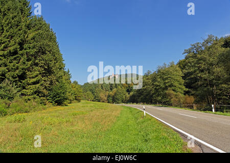 L'Europe, Allemagne, Europe, Rhénanie-Palatinat, Erlenbach bei Dahn, château, Berwartstein, architecture, arbres, montagnes, château, Banque D'Images