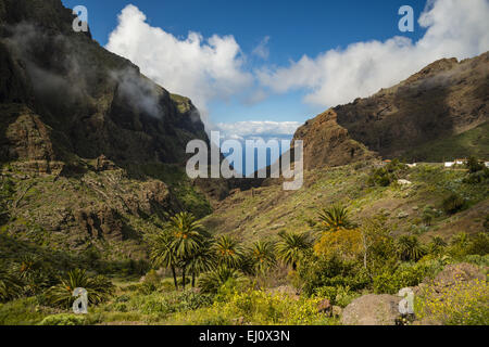 La formation de la falaise, le Volcano rock, Masca, de ravin, Barranco de Masca, montagne Teno, Tenerife, Canaries, Espagne, Europe Banque D'Images