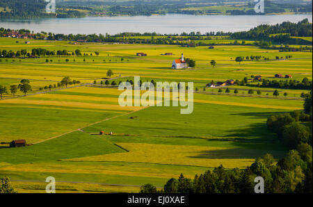 L'église baroque, église, église de pèlerinage, Saint Coloman, Forggensee, Swan, région de l'Allgäu, souabe, Bavière, Allemagne, Europe Banque D'Images