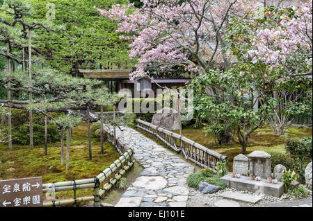 Hosen-in Temple, Ohara, près de Kyoto, au Japon. Un temple de l'ère Heian célèbre pour ses 700 ans vieux pin taillé pour ressembler à Mont Fuj Banque D'Images