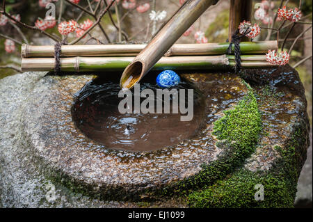 Hosen-dans temple bouddhiste Zen, Ohara, près de Kyoto, au Japon. La "tsukubai", pour le rituel du lavage des mains. Banque D'Images