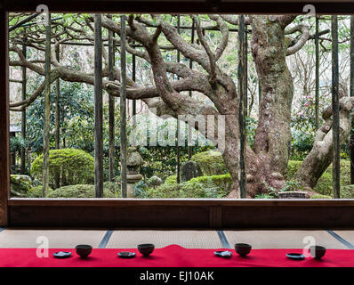 Hosen-in Temple, Ohara, près de Kyoto, au Japon. Un temple de l'ère Heian célèbre pour ses 700 ans vieux pin taillé pour ressembler à Mont Fuj Banque D'Images