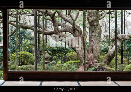 Hosen-in Temple, Ohara, près de Kyoto, au Japon. Un temple de l'ère Heian célèbre pour ses 700 ans vieux pin taillé pour ressembler à Mont Fuj Banque D'Images