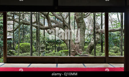 Hosen-in Temple, Ohara, près de Kyoto, au Japon. Un temple de l'ère Heian célèbre pour ses 700 ans vieux pin taillé pour ressembler à Mont Fuj Banque D'Images