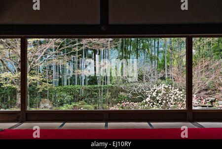 Hosen-in Temple, Ohara, près de Kyoto, au Japon. La parfaitement cadrés sur le jardin de la salle principale, au début du printemps Banque D'Images