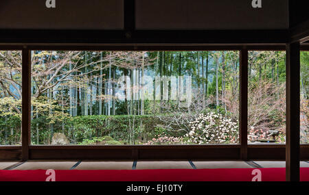 Hosen-in Temple, Ohara, près de Kyoto, au Japon. La parfaitement cadrés sur le jardin de la salle principale, au début du printemps Banque D'Images