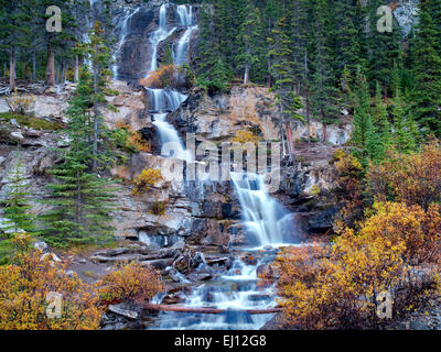 Chutes Tangle couleur d'automne avec des saules. Le Parc National Jasper, Alberta, Canada Banque D'Images