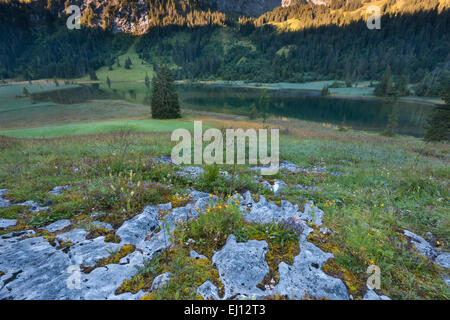 Lauenensee, Suisse, Europe, le canton de Berne, Oberland Bernois, Simmental, lac de montagne, lac, lumière du matin, rock, falaise, débit Banque D'Images