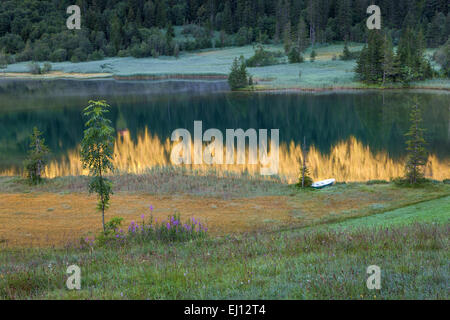 Lauenensee, Suisse, Europe, le canton de Berne, Oberland Bernois, Simmental, lac de montagne, lac, lumière du matin, bois, forêt, ref Banque D'Images