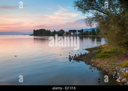 Ski, la Suisse, l'Europe, dans le canton de St-Gall, Lac de Constance, le lac, le matin, l'humeur Banque D'Images