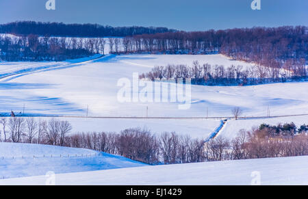 Vue sur collines couvertes de neige dans les régions rurales du comté de York, Pennsylvanie. Banque D'Images