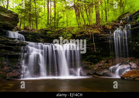 Cascade sur le ruisseau de cuisine à Ricketts Glen State Park, New York. Banque D'Images