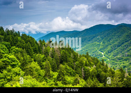 Vue spectaculaire sur les montagnes des Appalaches à partir de Newfound Gap Road, à Great Smoky Mountains National Park, Tennessee. Banque D'Images