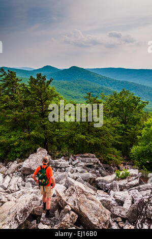 Un randonneur descend les pentes rocheuses de Duncan, bouton près de Luray en George Washington National Forest, Virginia. Banque D'Images
