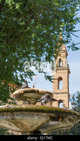Petite fontaine en face du clocher de l'église de Santo Spirito à Florence, Italie Banque D'Images