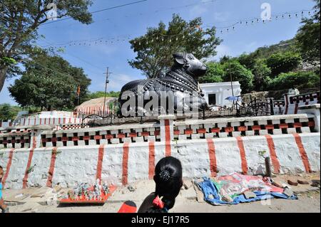 Nandi Bull en Chamundi Hills, Mysor, Inde Banque D'Images