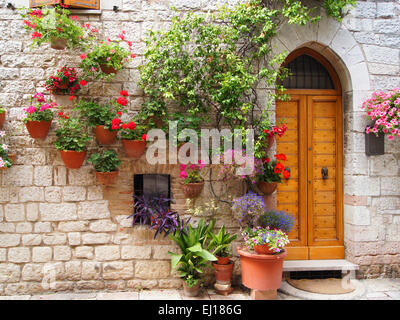 Des fleurs colorées à l'extérieur d'une maison dans la ville d'assise hill Banque D'Images