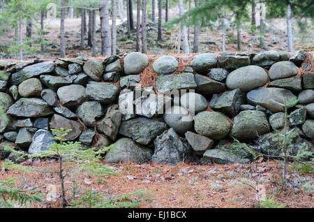 Ce mur en pierres anciennes inhabituelle à Bar Harbor, Maine utilise les pierres arrondies ou 'galets' trouvés sur les plages locales. Banque D'Images