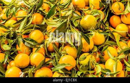 En vente Clémentines fraîches au marché de Campo de Fiori à Rome Italie Banque D'Images