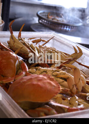 FISHERMANS WHARF CRAB Fresh Dungeness crabes à Fisherman's Wharf Grotto Embarcadero San Francisco California USA Banque D'Images