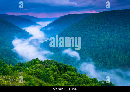 Brouillard dans l'Canyon Blackwater au coucher du soleil, vu du point de Lindy, Blackwater Falls State Park, West Virginia. Banque D'Images