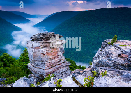 Brouillard dans l'Canyon Blackwater au coucher du soleil, vu du point de Lindy, Blackwater Falls State Park, West Virginia. Banque D'Images