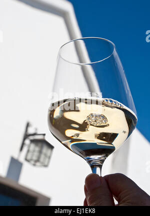 Vin blanc en plein air avec dégustation de vin blanc frais aéré en plein air ensoleillé dégustation de vins situation cave Banque D'Images