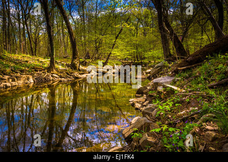 Reflets dans le canal Patowmack à Great Falls Park, en Virginie. Banque D'Images