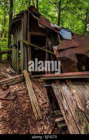 Ruines de la Mission pocosins, dans le Parc National Shenandoah, en Virginie Banque D'Images