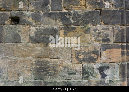 Gros plan sur un vieux mur en pierre à aiguiser brun de Bramley à Kirkstall Abbey, Leeds, West Yorkshire, Angleterre Banque D'Images