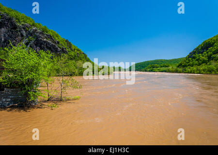 L'inondation du printemps sur le Potomac à Harper's Ferry, West Virginia. Banque D'Images