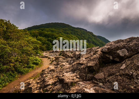 Le sentier des Appalaches, sur les falaises de l'homme Little Stony dans Shenandoah National Park, en Virginie. Banque D'Images