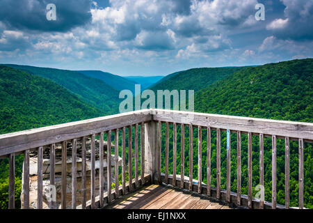 Vue sur le Canyon de Blackwater Lindy Point, parc d'état de Blackwater Falls, West Virginia. Banque D'Images