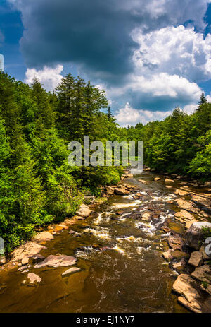 Vue sur la rivière Blackwater, à partir d'un pont à Blackwater Falls State Park, West Virginia. Banque D'Images