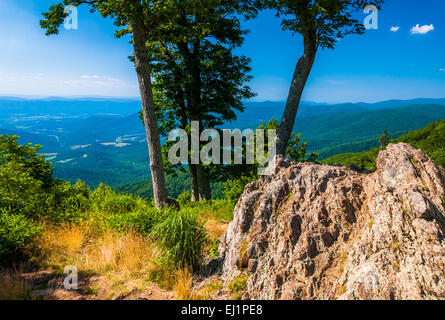 Vue sur le Blue Ridge et Shenandoah Valley derrière des rochers et arbres au creux Jewell, oublier sur Skyline Drive dans Shenandoah Na Banque D'Images