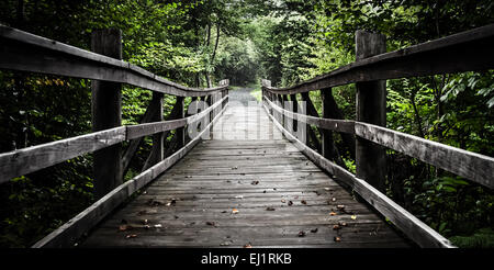 Pont sur la marche en sentier Limberlost Shenandoah National Park, en Virginie. Banque D'Images